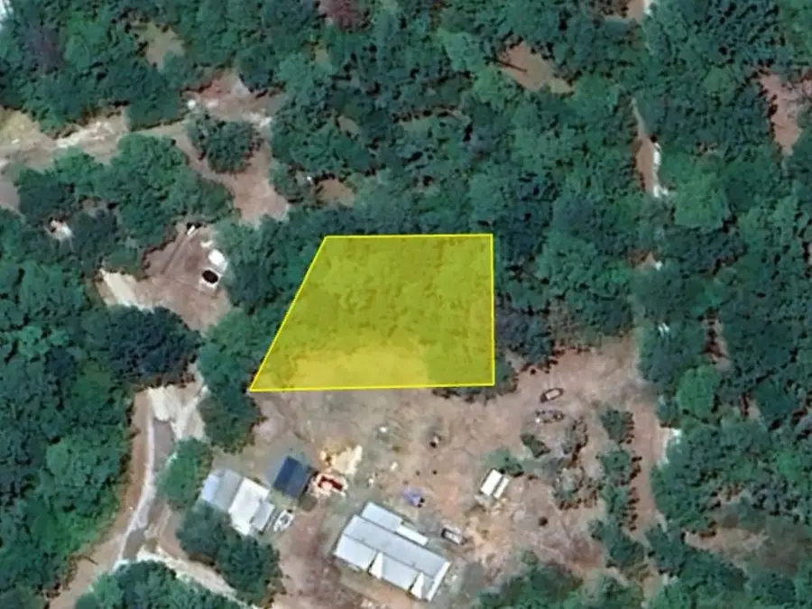 688 Private Rd 7830, Broaddus, TX 75929 - #3