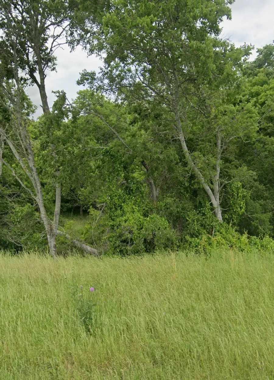 TBD Fm 389, Brenham, TX 77833 - #2