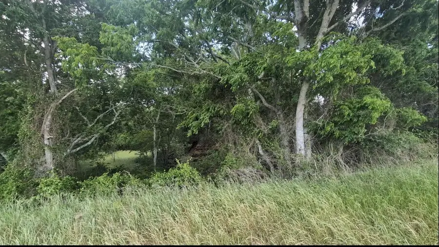 TBD Fm 389, Brenham, TX 77833 - #3