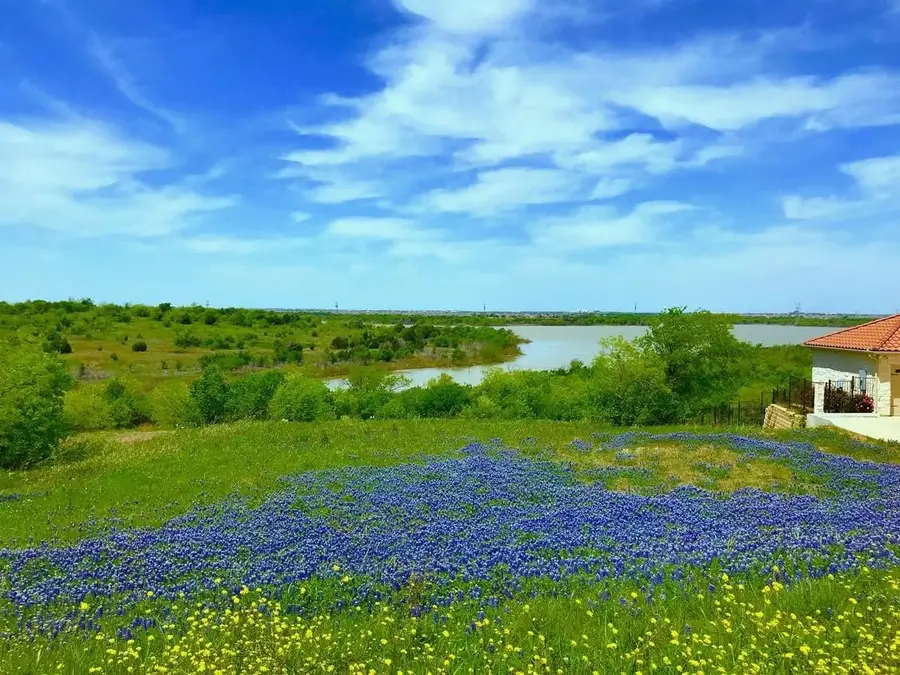 3159 Sanctuary Drive, Cedar Hill, TX 75104 - Image #2