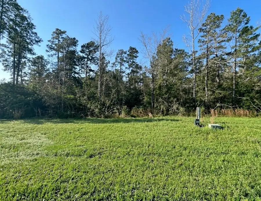 39 Coyote Run, Willis, TX 77378 - #2