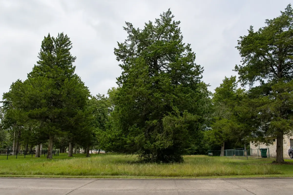 TBD St Andrews Drive, New Ulm, TX 78950 - #1