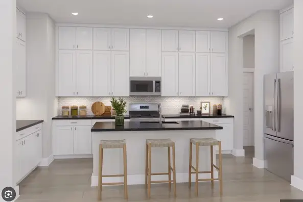 26239 Prairie Delight Place, Hockley, TX 77447 - Image #2