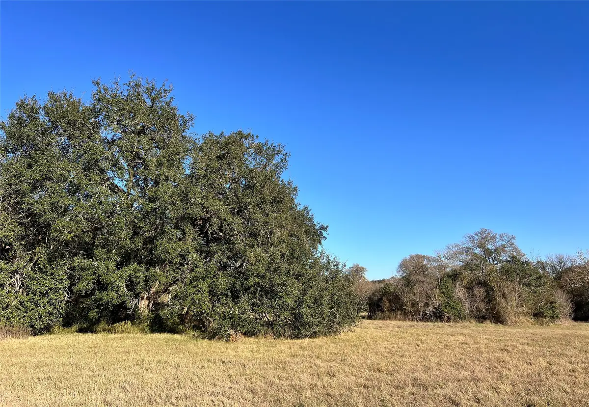 Lot 3 County Road 137, Caldwell, TX 77836 - Image #1