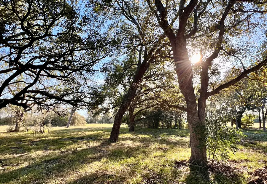 Lot 3 County Road 137, Caldwell, TX 77836 - Image #3