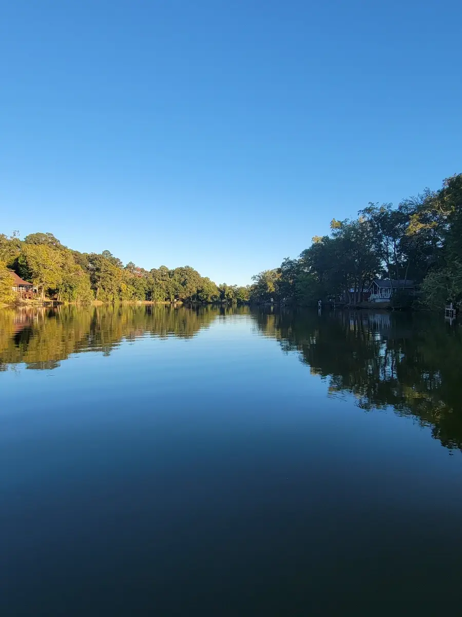 TBD Magnolia Road, Goodrich, TX 77335 - #2