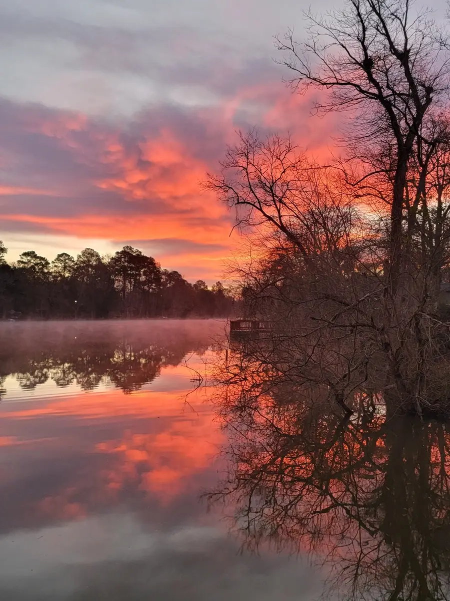 TBD Magnolia Road, Goodrich, TX 77335 - #3