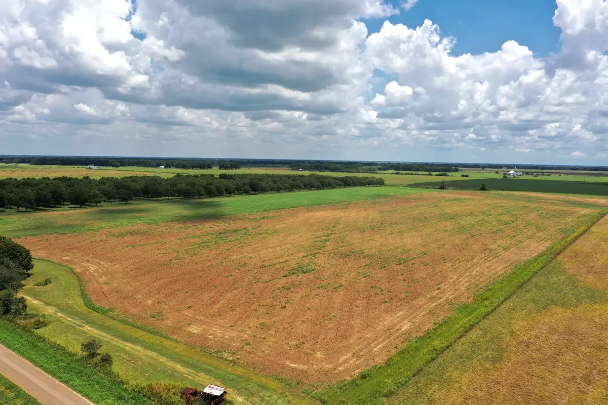 Tract4 S County Rd 267, Elm Grove, TX 77434 - Image #1
