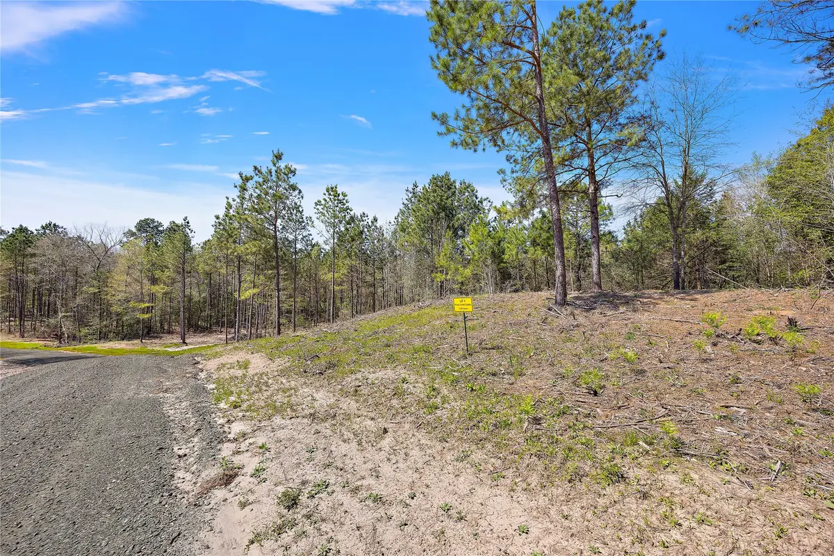 434 Piney Creek Estates Road, Timpson, TX 75975 - #1