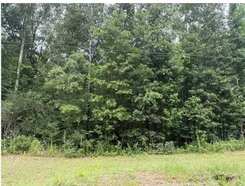 0 Soda Loop E, Livingston, TX 77351 - #2