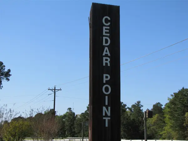 TBD Mesquite, Livingston, TX 77351