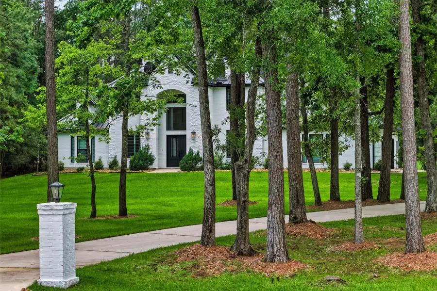 36913 Sulphur Branch Bend, Magnolia, TX 77355 - #3