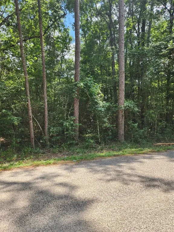 TBD County Road 373, Splendora, TX 77372 - #1