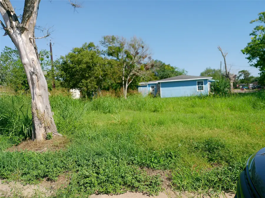1130 W 9th Street, Freeport, TX 77541 - #2