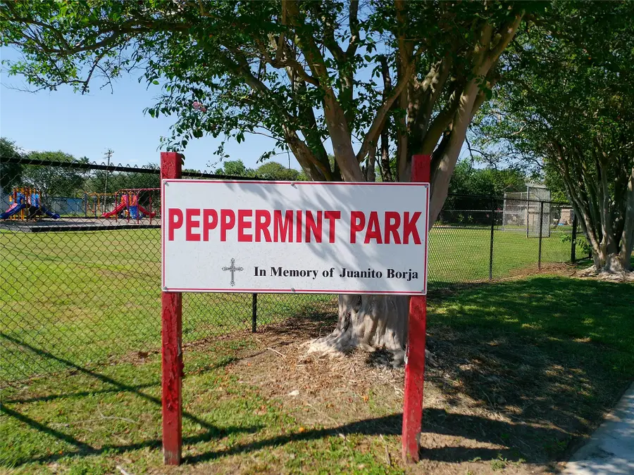 1130 W 9th Street, Freeport, TX 77541 - #3