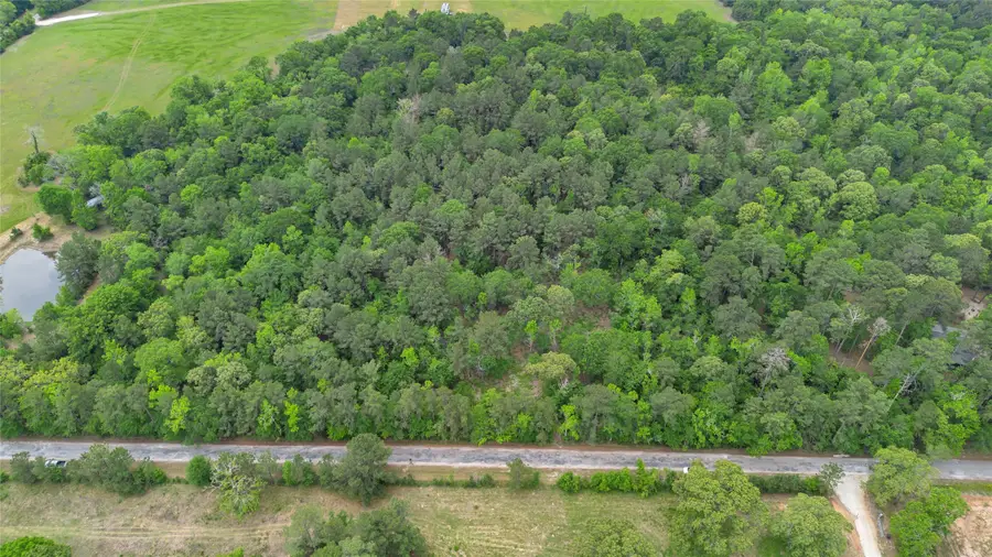 399 Pool Rd, Richards, TX 77873 - #3