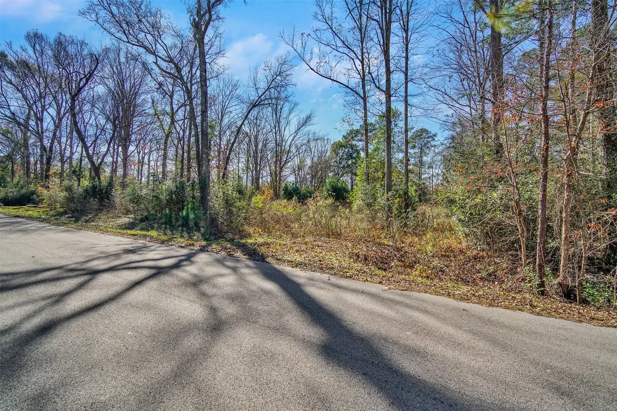 10884 Champion Village Drive, Conroe, TX 77303 - #1