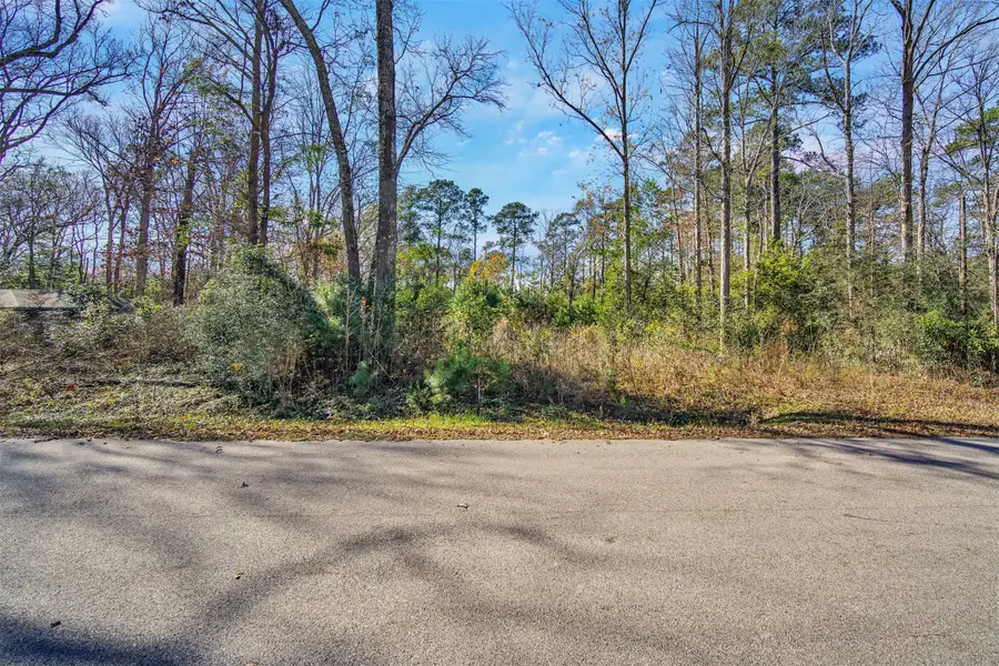 10884 Champion Village Drive, Conroe, TX 77303 - #2