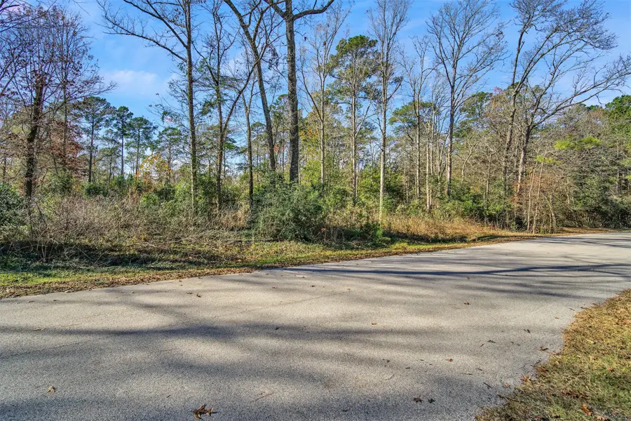 10884 Champion Village Drive, Conroe, TX 77303 - #3
