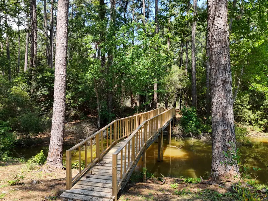 TBD James Lane, Coldspring, TX 77331 - #3