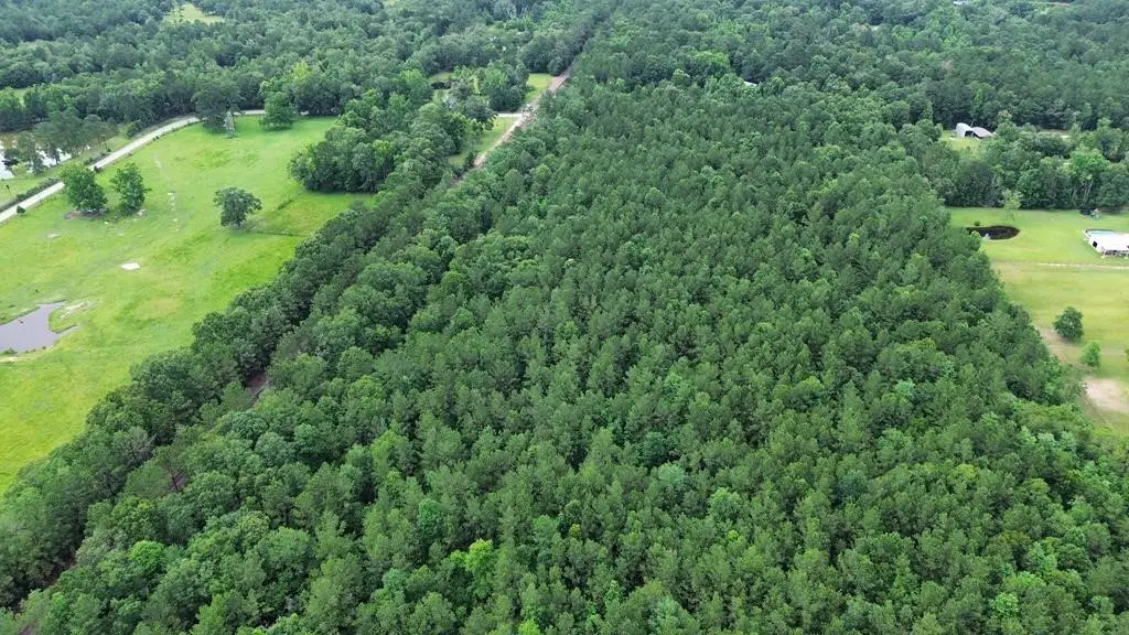 9087 County Road 451, Kirbyville, TX 75956 - #1