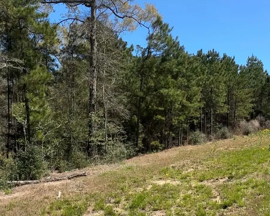 16283 Ridge Oak Road, Willis, TX 77378 - #3