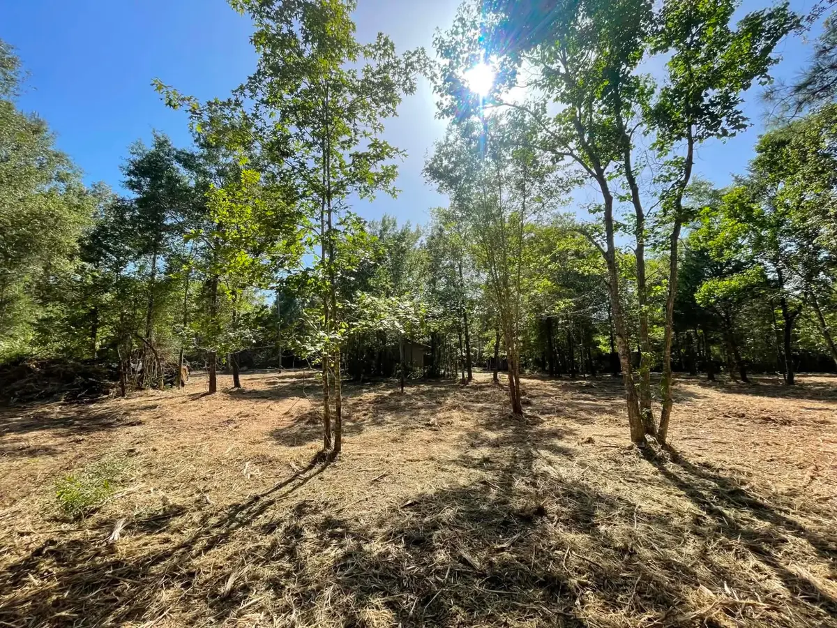 Lot 5 E Fm 942, Livingston, TX 77351 - #1