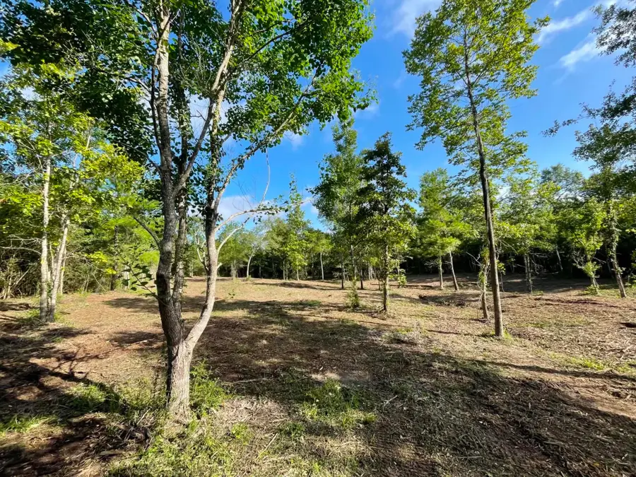 Lot 5 E Fm 942, Livingston, TX 77351 - #2