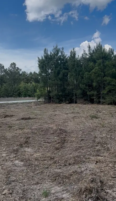 2147 8160 Tract 36, Lovelady, TX 75851 - #2