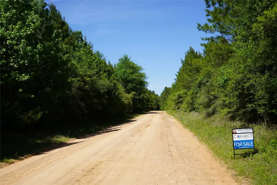 03 Tbd Sh 146/e Schwab, Livingston, TX 77351 - #2