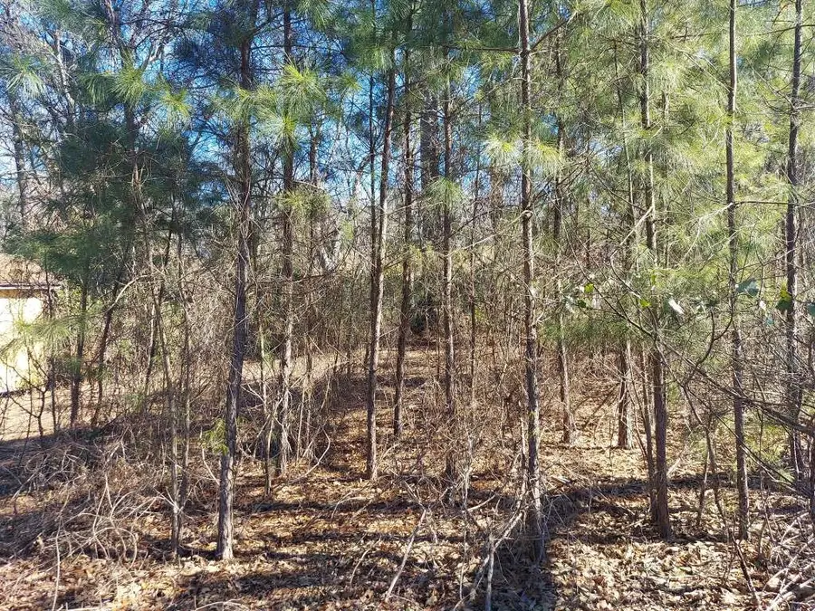 2709 Scotts Quarter Road, Marshall, TX 75670 - Image #3