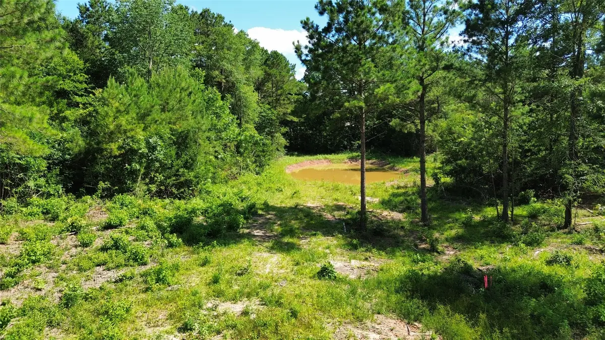 573 Piney Creek Estates Rd, Timpson, TX 75975 - #1