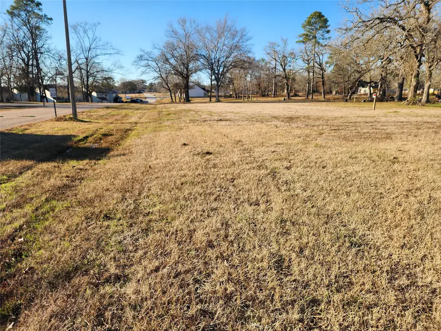 TBD Echo Lane, Livingston, TX 77351 - Image #3