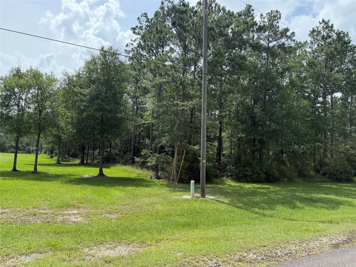 9150 Grizzly Drive, Kountze, TX 77625 - Image #1