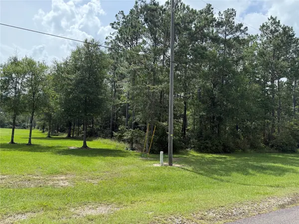 9150 Grizzly Drive, Kountze, TX 77625