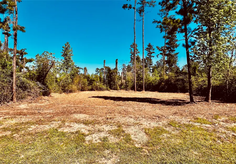 171 Brahman, Onalaska, TX 77360 - #2