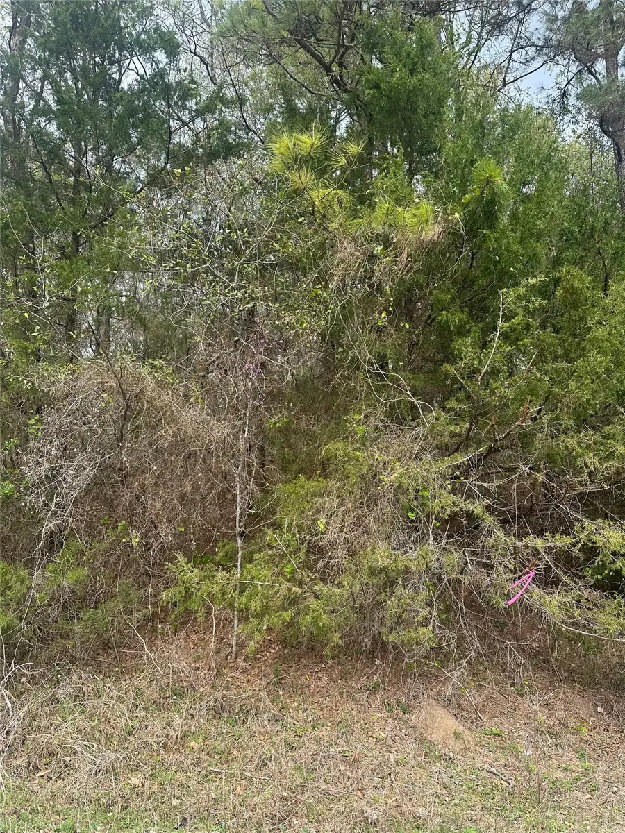 00 Cedar Valley Drive, Coldspring, TX 77331 - #3