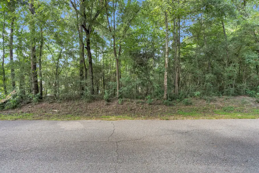 00 Evergreen, Montgomery, TX 77356 - #3