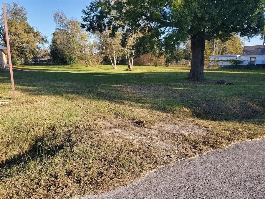 0 Wayne Street, Houston, TX 77026 - #2