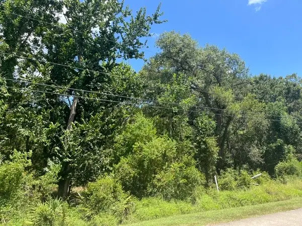 1131 Bronco Trail, Angleton, TX 77515