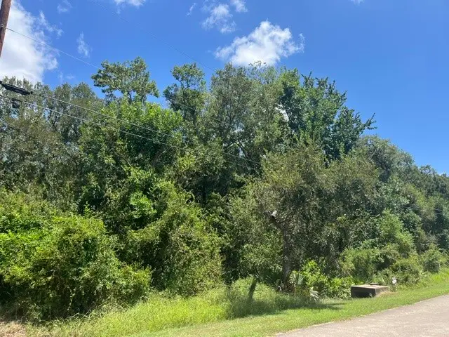 1131 Bronco Trail, Angleton, TX 77515 - #2