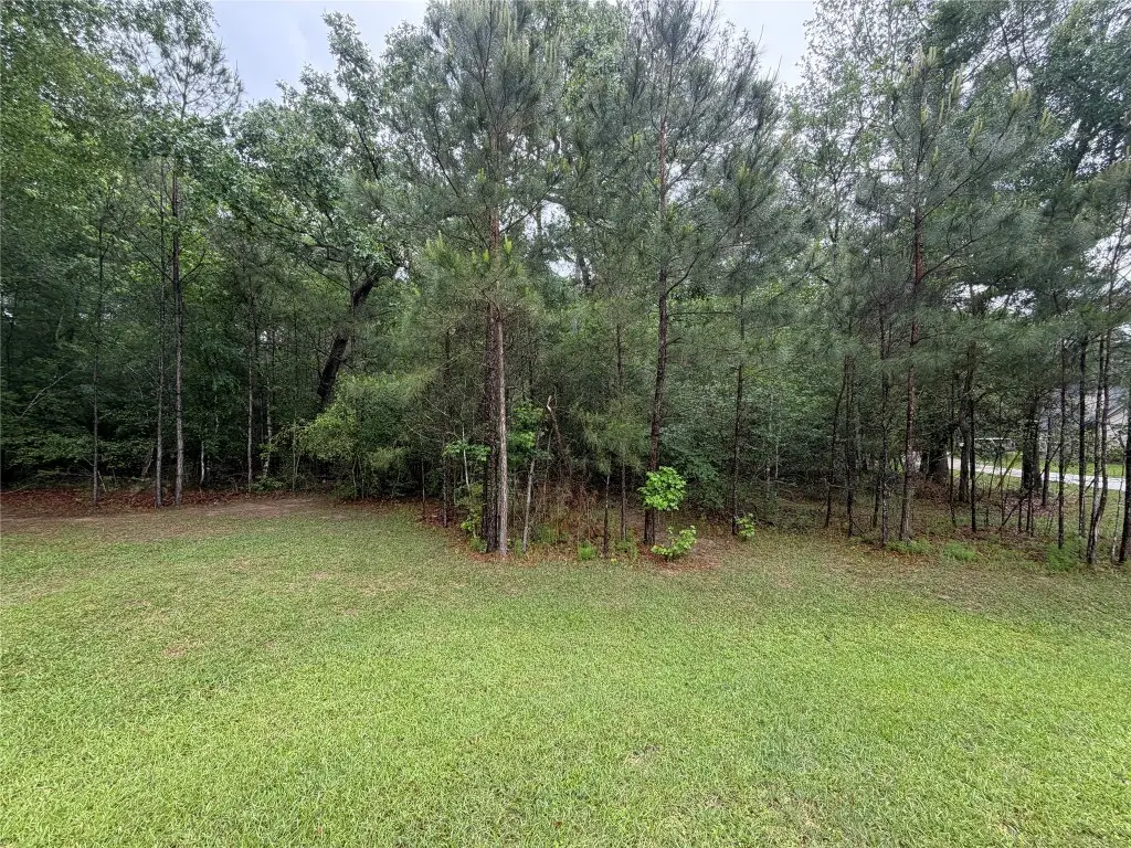 TBD Agassi Court, Magnolia, TX 77354 - #1