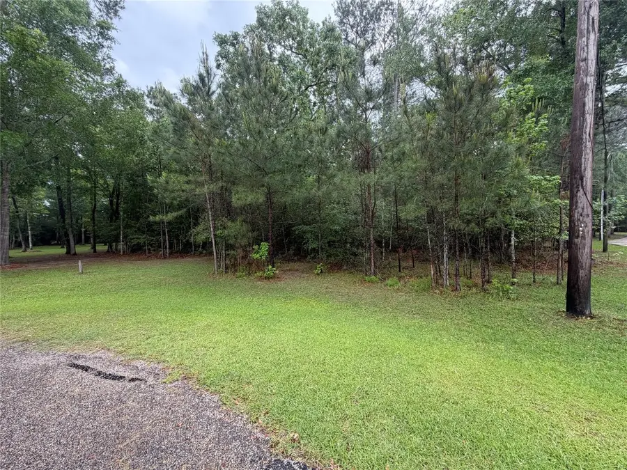 TBD Agassi Court, Magnolia, TX 77354 - #2