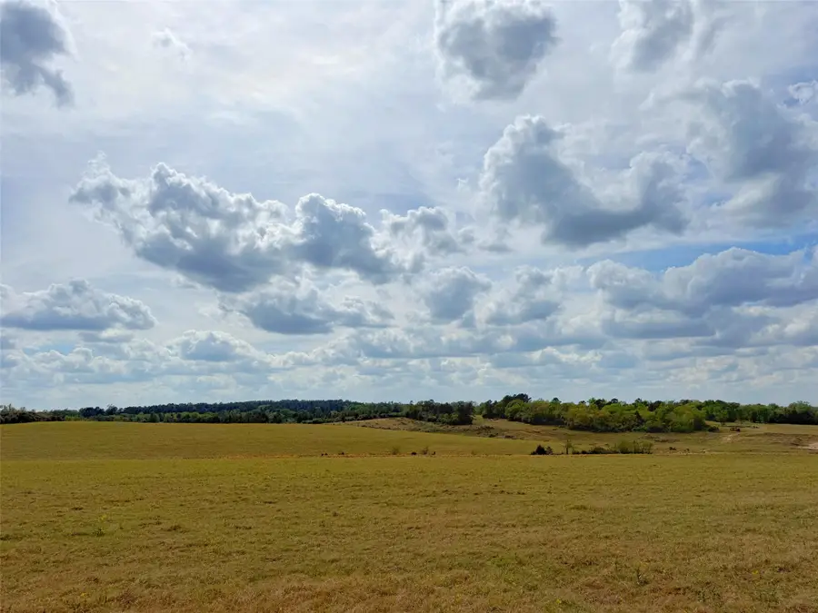 143 ac Cr 236, Oakwood, TX 75855 - #2