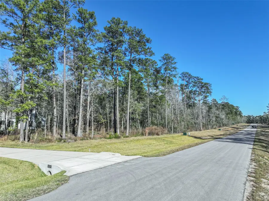 15268 Forest Grove Drive, Willis, TX 77378 - #3