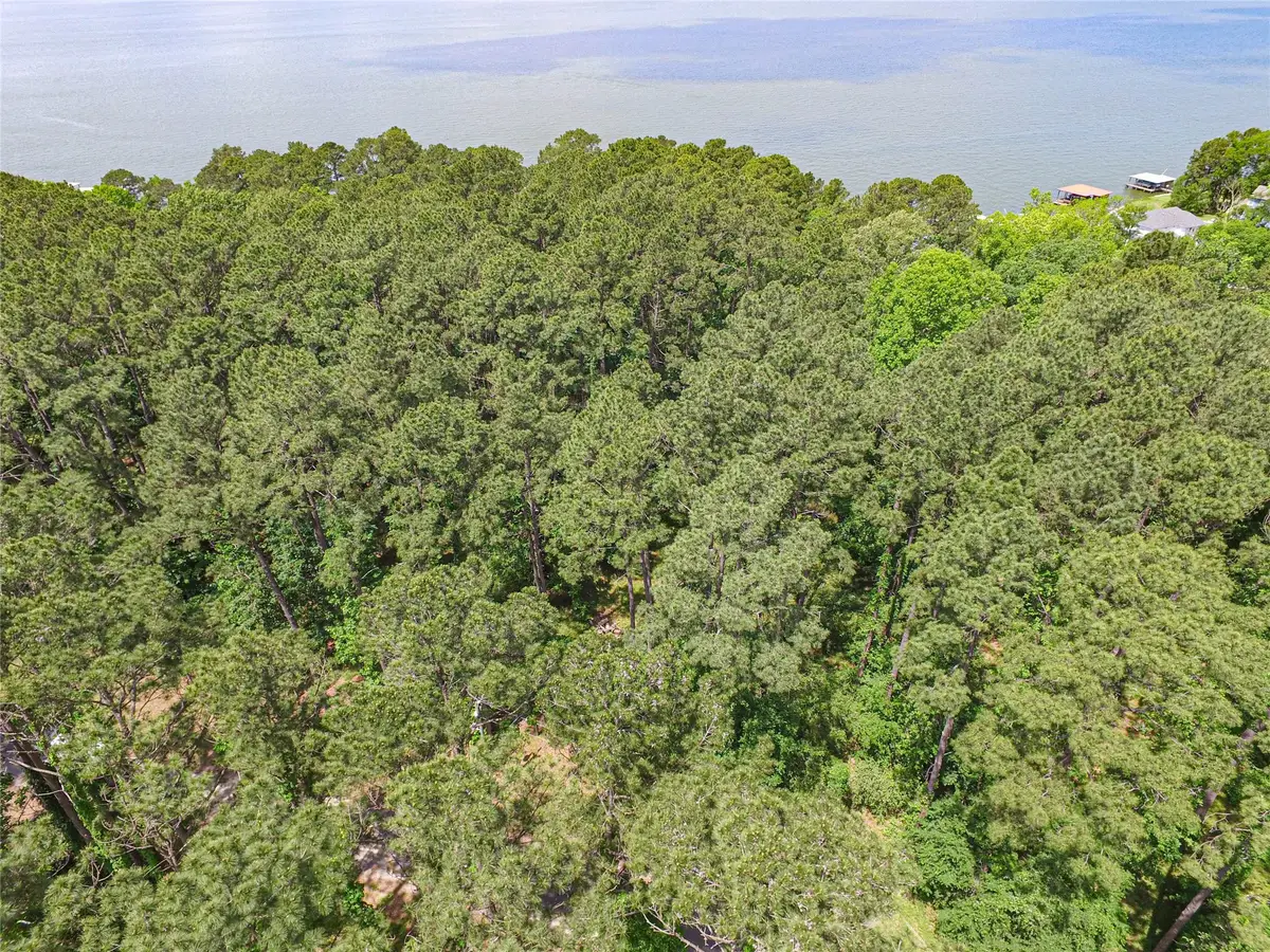 TBD Grand Pines, Livingston, TX 77351 - Image #1