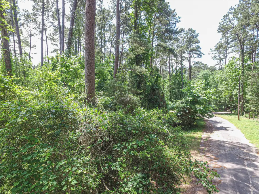 TBD Grand Pines, Livingston, TX 77351 - Image #3