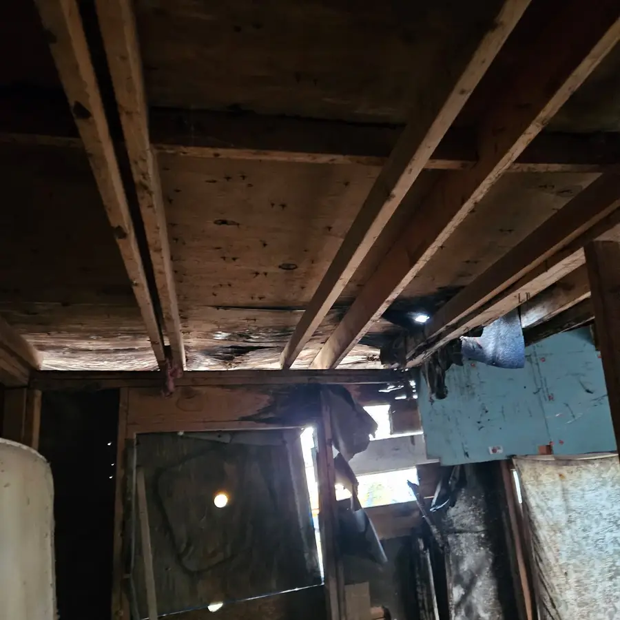 7525 Maryland Avenue, Brownsville, TX 75521 - #3