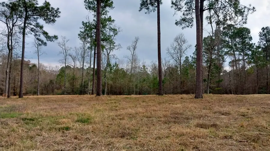 TBD Noah Court, Huntsville, TX 77320 - #2