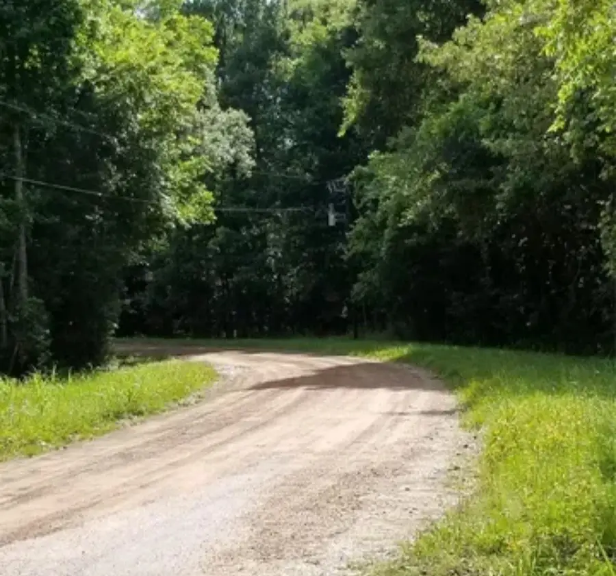 TBA Winding Creek, Shepherd, TX 77371 - Image #2